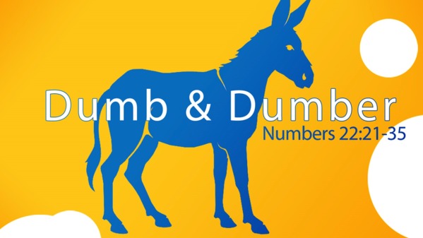 Dumb & Dumber - Logos Sermons