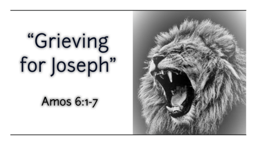 For the Church  The Lion Roars, and We Are Free