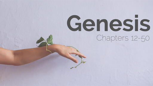 Genesis | 2021 | 12-50
