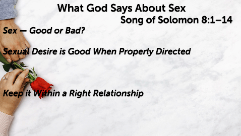 What God Says About Sex