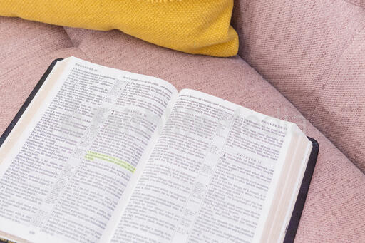 Open Bible on a Pink Couch