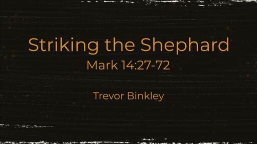 Striking the Shepherd