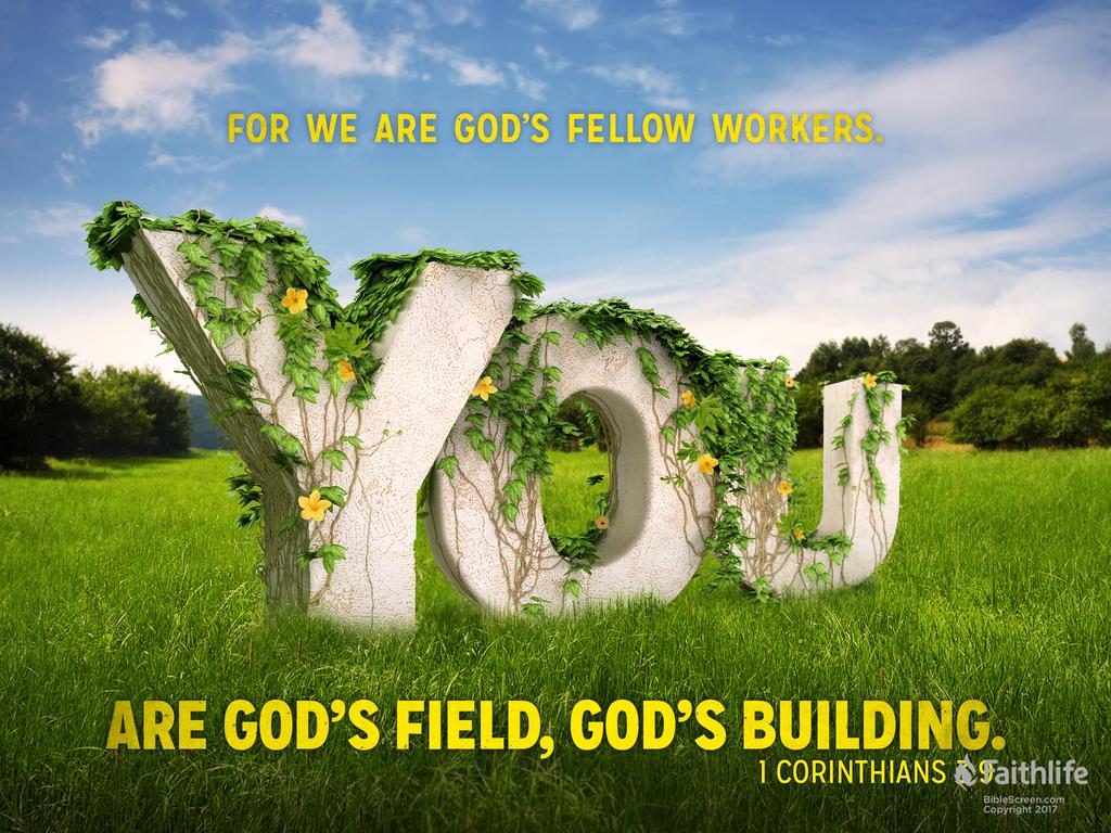 For we are God’s fellow workers. You are God’s field, God’s building.