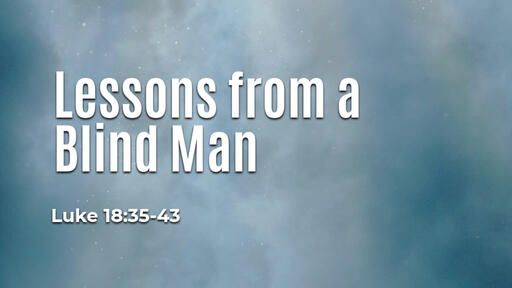 Lessons from a Blind Man