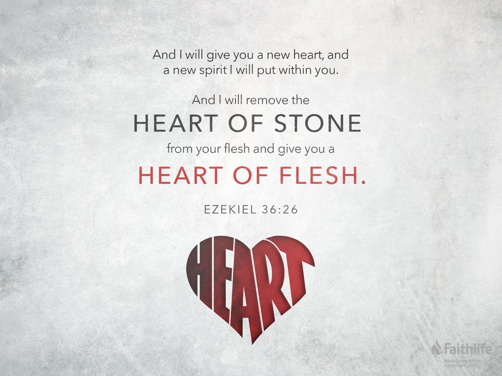 And I will give you a new heart, and a new spirit I will put within you. And I will remove the heart of stone from your flesh and give you a heart of flesh.