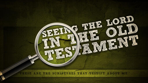 Seeing the Lord in the Old Testament (adapted from "The Promised One" by Nancy Guthrie)
