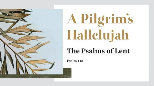 a pilgrims hallelujah