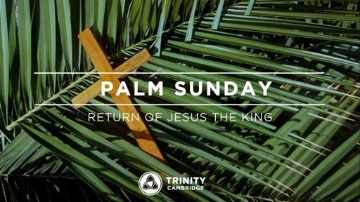Matthew 21:1-11: The Humble King (Palm Sunday)