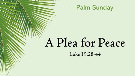 A Pleas for Peace - Luke 19:28-44
