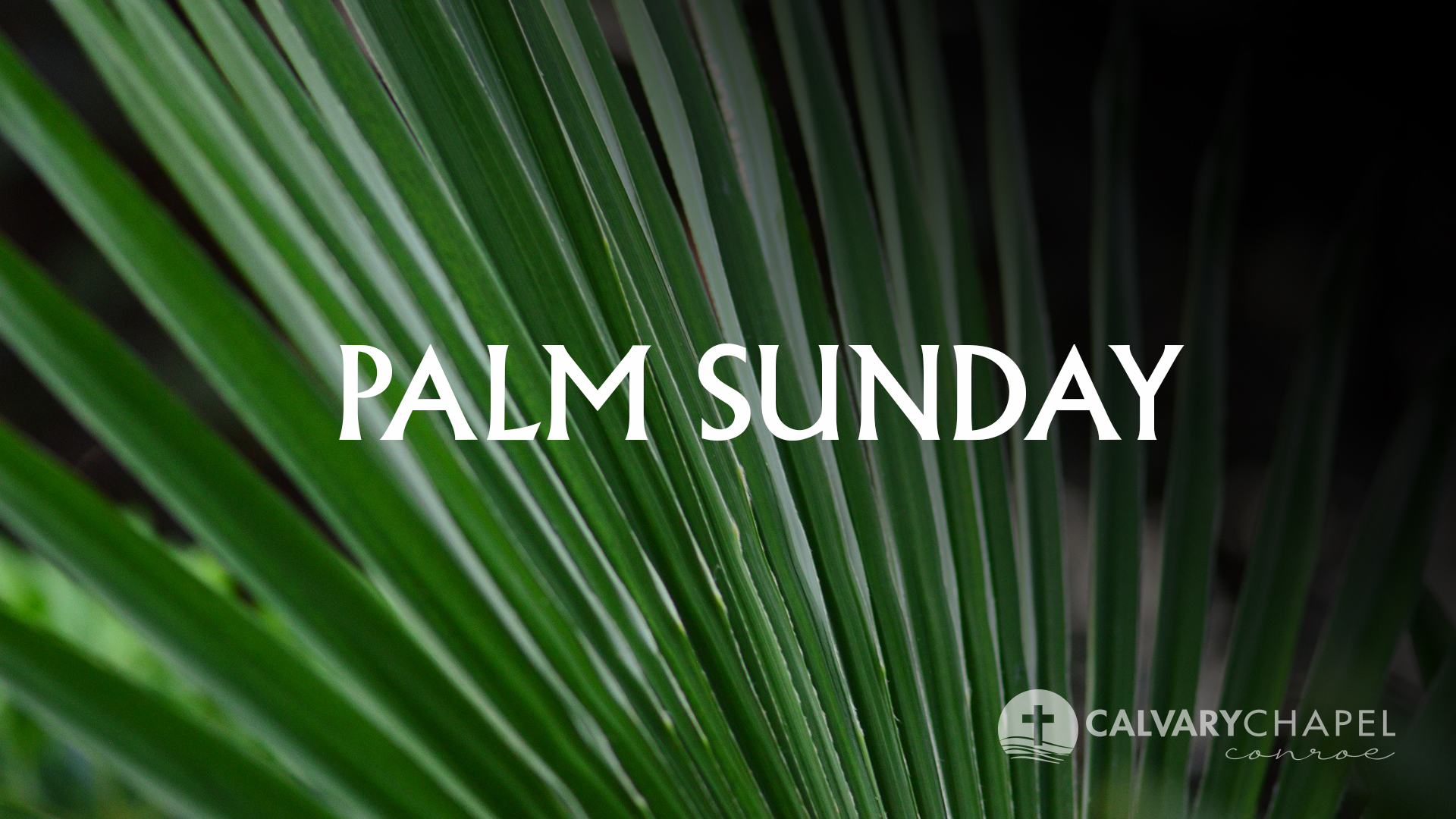 Palm Sunday 2022 Logos Sermons