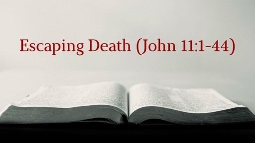 Escaping Death (John 11:1-44)