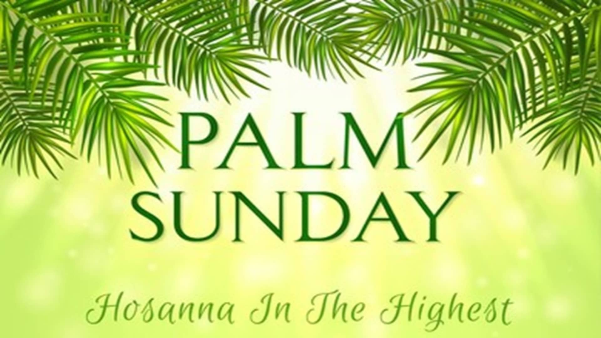Palm Sunday - Logos Sermons