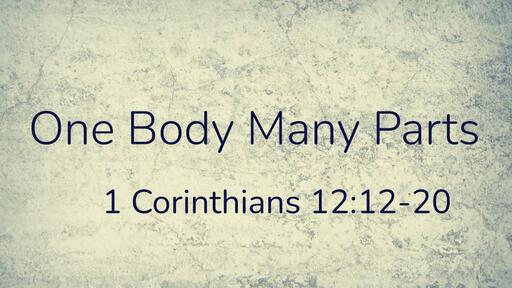 One Body Many Parts - Logos Sermons