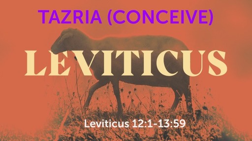 Tazria (Conceive) - Voice Podcast April 14, 2022