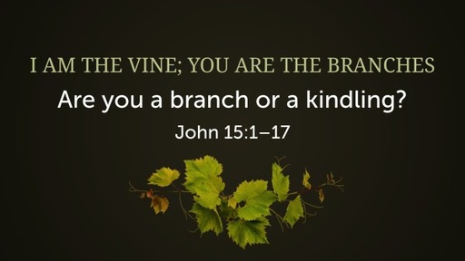 I am the Vine; You are the Branches