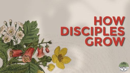 How Disciples Grow