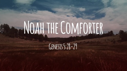 910 - Noah the Comforter