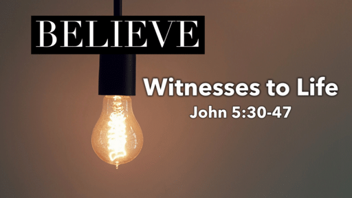 Witnesses To Life