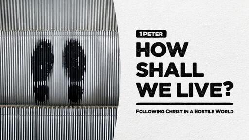 2. Purpose in Pain : Finding Meaning in Suffering