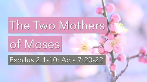 The Two Mothers of Moses
