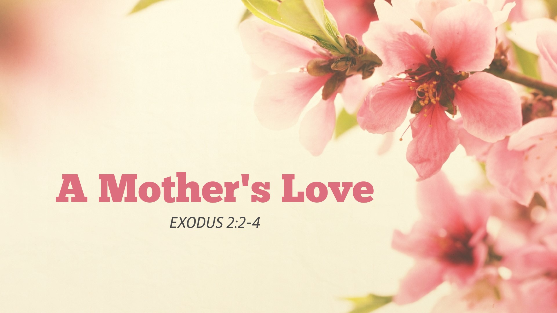 Mother's day Logos Sermons