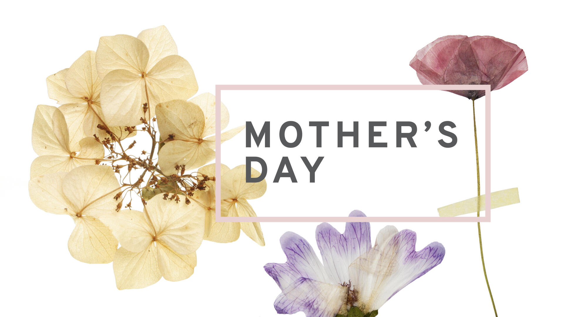 Mother's Day 2022 Logos Sermons