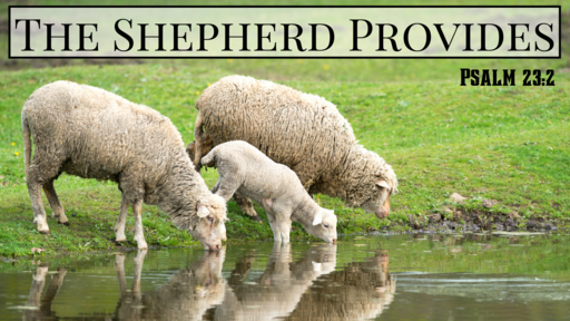 The Shepherd Provides