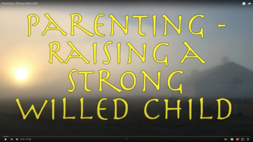 Parenting a Strong willed child