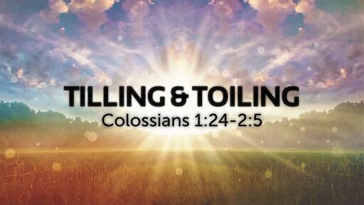 Tilling & Toiling | Colossians 1:24-2:5 | Luke Rosenberger