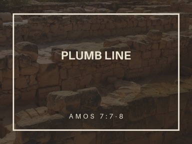 Plumb Line - Tom McDonnell