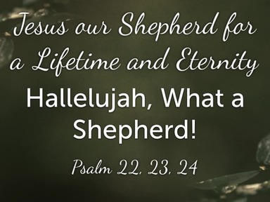 Jesus Our Shepherd for a Lifetime and Eternity, Hallelujah What a Savior