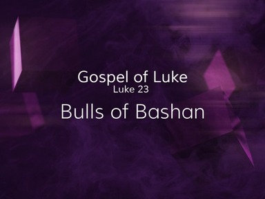 Bulls of Bashan