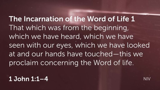 Our Incarnate Savior