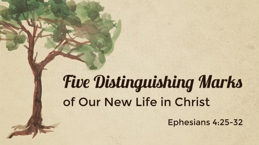 Five Distinguishing Marks of New Life in Christ