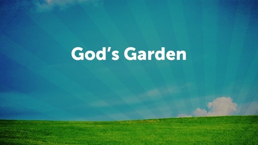 God's Garden