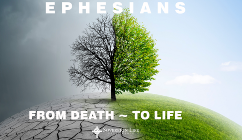 Ephesians - From Death to Life 
