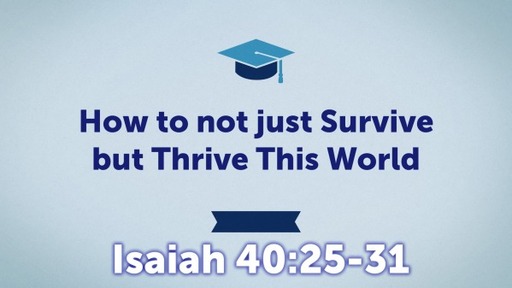 How to not just Survive but Thrive This World