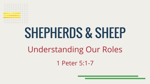 Shepherds & Sheep