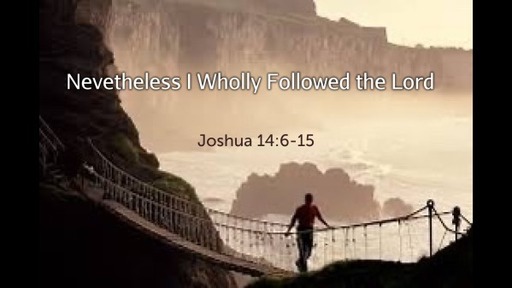 Nevetheless I Wholly Followed the Lord