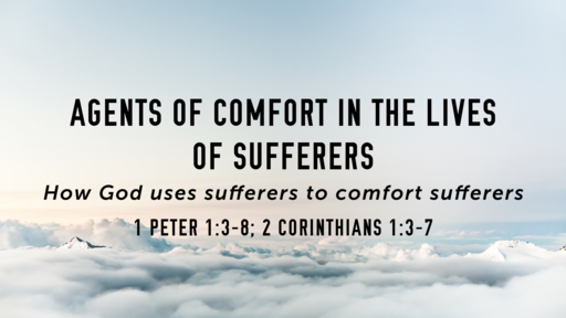 Agents Of Comfort In The Lives Of Sufferers