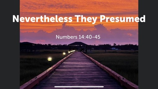 Nevertheless They Presumed