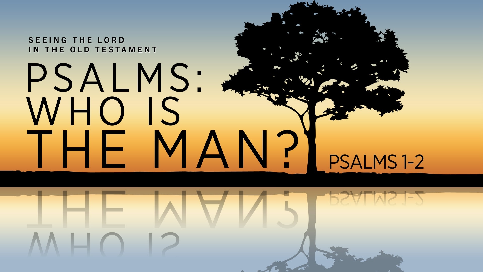 06192022 Seeing The Lord In The Old Testament Psalms Who Is The Man 06192022-seeing-the-lord-in-the-old-testament-psalms-who-is-the-man