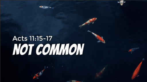 937 - Not Common