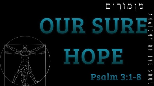 Our Sure Hope: Psalm 3:1-8