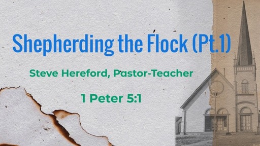 Shepherding the Flock (Pt.1)