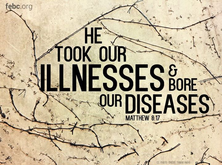 Matthew 8 Part 1 Audio Logos Sermons