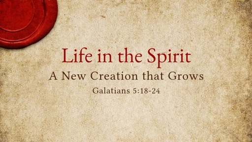 July 3, 2022 - Life in the Spirit