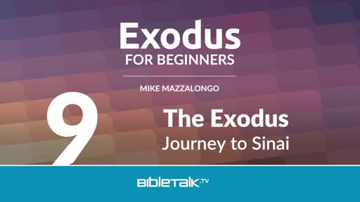 The Exodus: Journey to Sinai