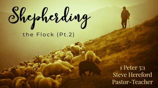 Shepherding the Flock (Pt.2)