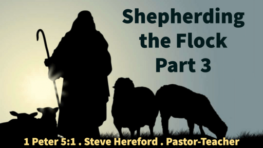 Shepherding the Flock (Pt.3)